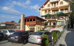 Pensiunea Cristal Tulcea 3*