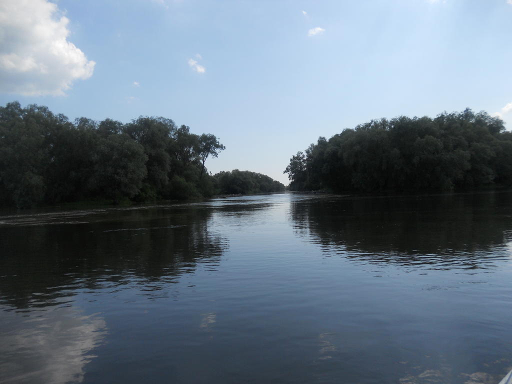 Pensiunea Cristal Tulcea Exterior foto