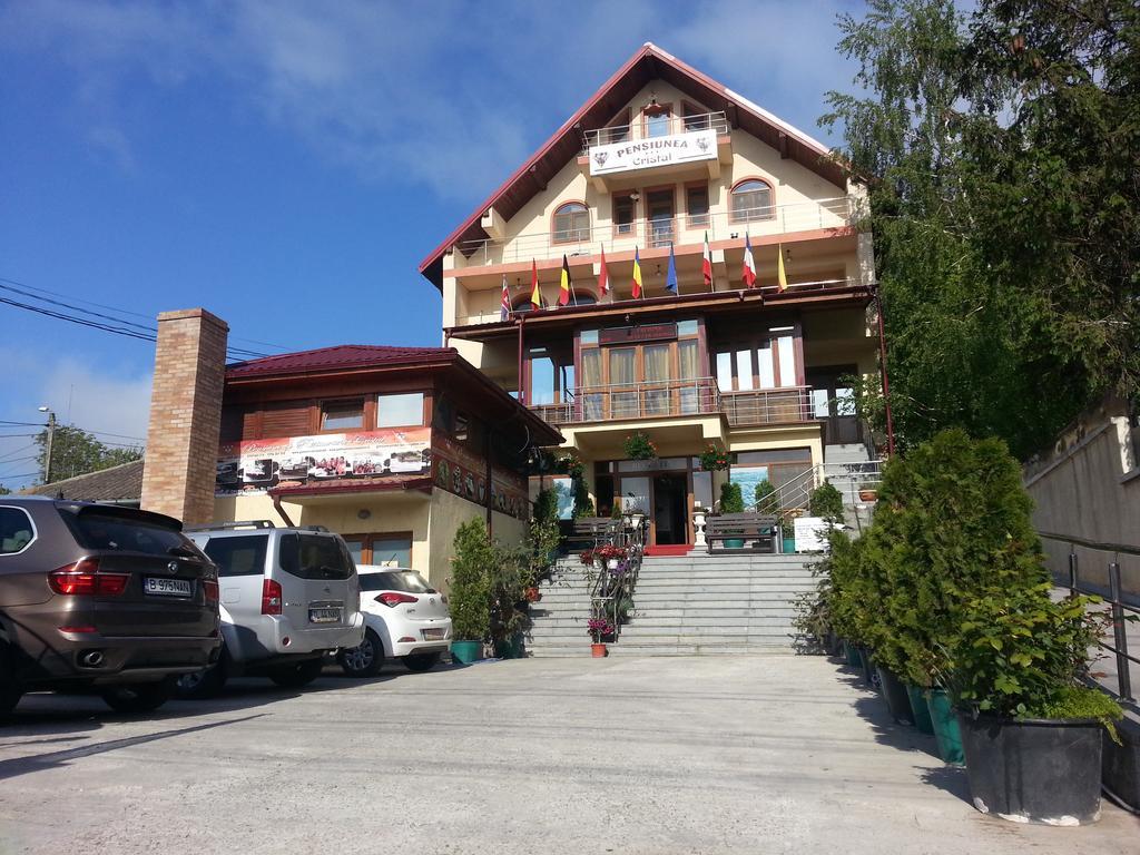 Pensiunea Cristal Tulcea Exterior foto