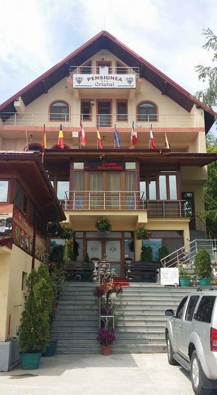 Pensiunea Cristal Tulcea Exterior foto